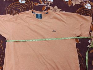 Combo Men's New T-shirt