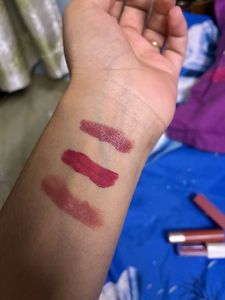 Lipstick Swatches (complimentary make up brush )