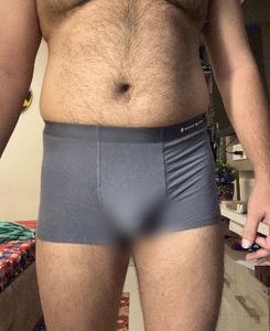 Swisswell Men's Boxer Briefs - Gray