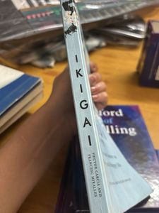 Ikigai: The Japanese Secret to a Long and Happy Li