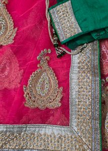 Pink net saree with blouse and satin peticot