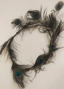 Because Feather Decorative Item
