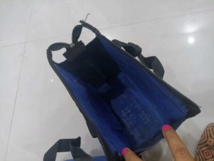 Lunch Bag-1 Pair, 24 CM Height,