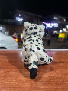 Leopard Big Cat Realistic