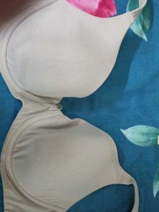 Padded Underwired T-Shirt bra