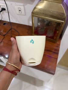 Stylish Cream Planter Pot
