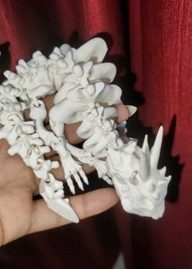 Dinosaur Skeleton Model