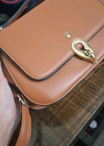 Brown Handbag