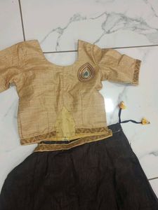Traditional Indian Lehenga Choli Set