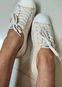 Superdry Cream Canvas Sneakers