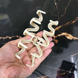 Chic Hair Claw Clip