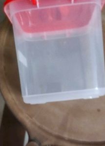 2 Kg Container