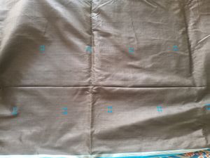 Black With Blue Bordered Saree