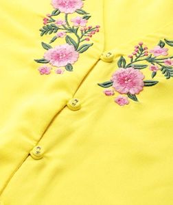Dressberry Top💛