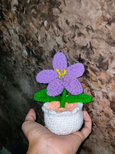 Lavender Lily Flower Pot