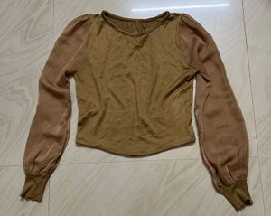 Chic Sheer Sleeve Top