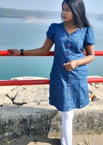 Denim Button-Down Dress
