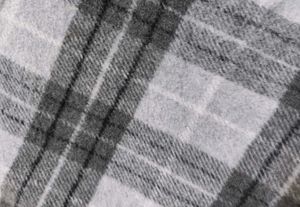 Short skirt ( check pattern )