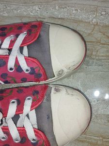 SPARX SHOES