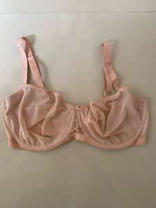 Sheer Pink Balconette Bra