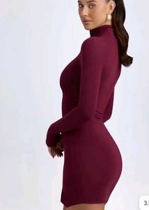 Maroon Turtleneck Long Sleeve Dress