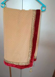Tan Saree With Maroon Velvet Border