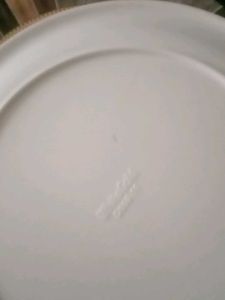 Set of 6 Elegant Dinner Plates