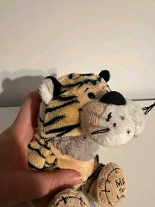 Teddy Bear in Tiger Costume