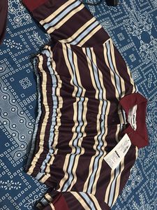 Striped Collar Neck Half Sleeve Crop Top