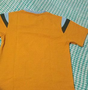 Mens T- Shirt