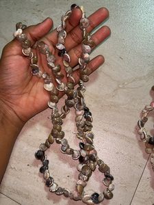 Real Seashells Necklace