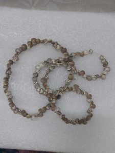 Unique Seashell Necklace 36" Long Single Strand