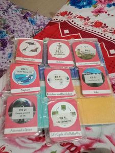 Flash Cards Each System