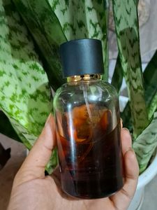 Mamaearth Into The Woods Perfume, Tom Foam &amp; YSL ✨