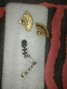 Elegant Pair of Earrings