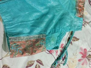 Very Beautiful Net Embroidery Saree Blousepetticot