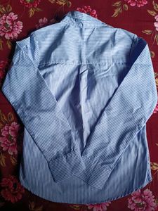 Chic Blue Striped Shirt