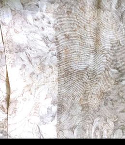 Elegant Floral Print saree