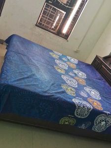 pure cottonBlue Paisley Queen Bed Sheet of 1