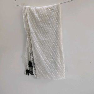 white net dupatta