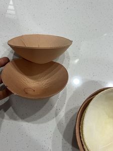 Set of Bra Inserts