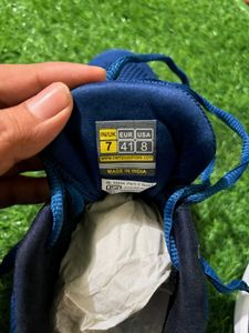 Campus Shoes Box
