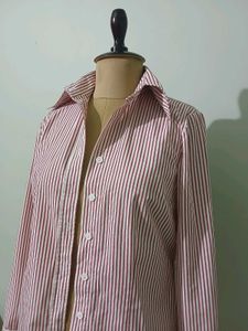 Striped fitted ButtonUp Shirt