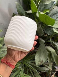 White Planter Pot