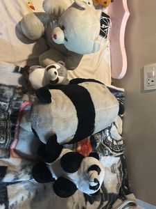 Cute Panda Plush Toys Bundle