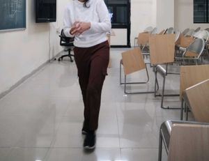 Brown Casual Trousers
