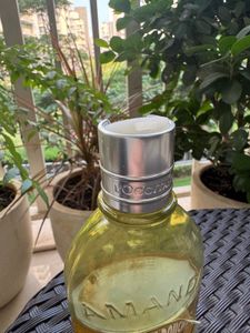 Clearance Combo Shower Oil And Cream