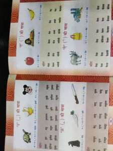 5 Books set in coins
