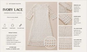 Elegant Ivory Lace Embroidered Dress
