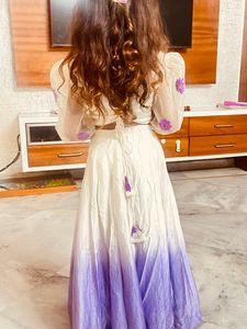Handpainted Full Flared Choli